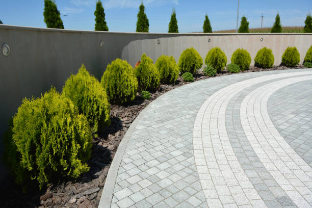 Best Custom Driveway Pavers  in Roslyn, PA